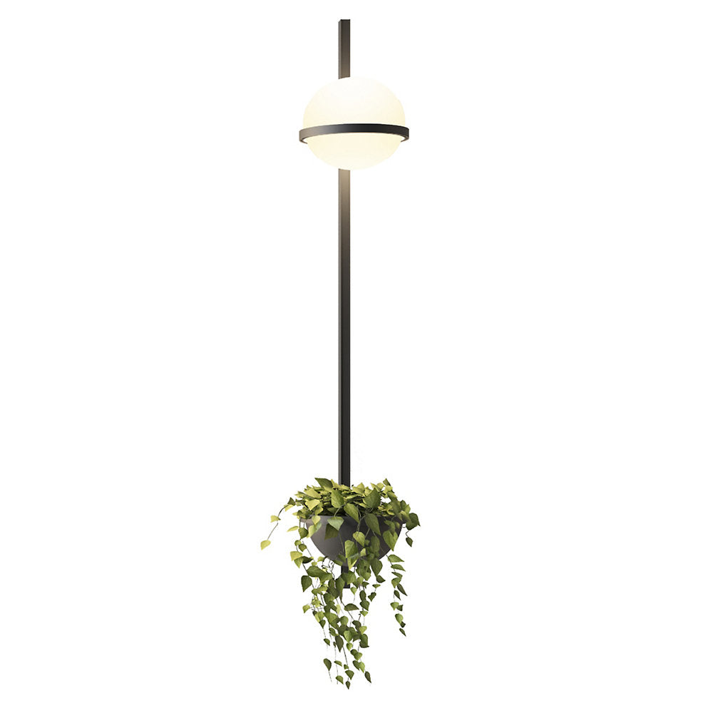Palma 3714 LED Wall Sconce