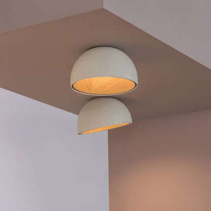 Duo 4880 LED Flushmount