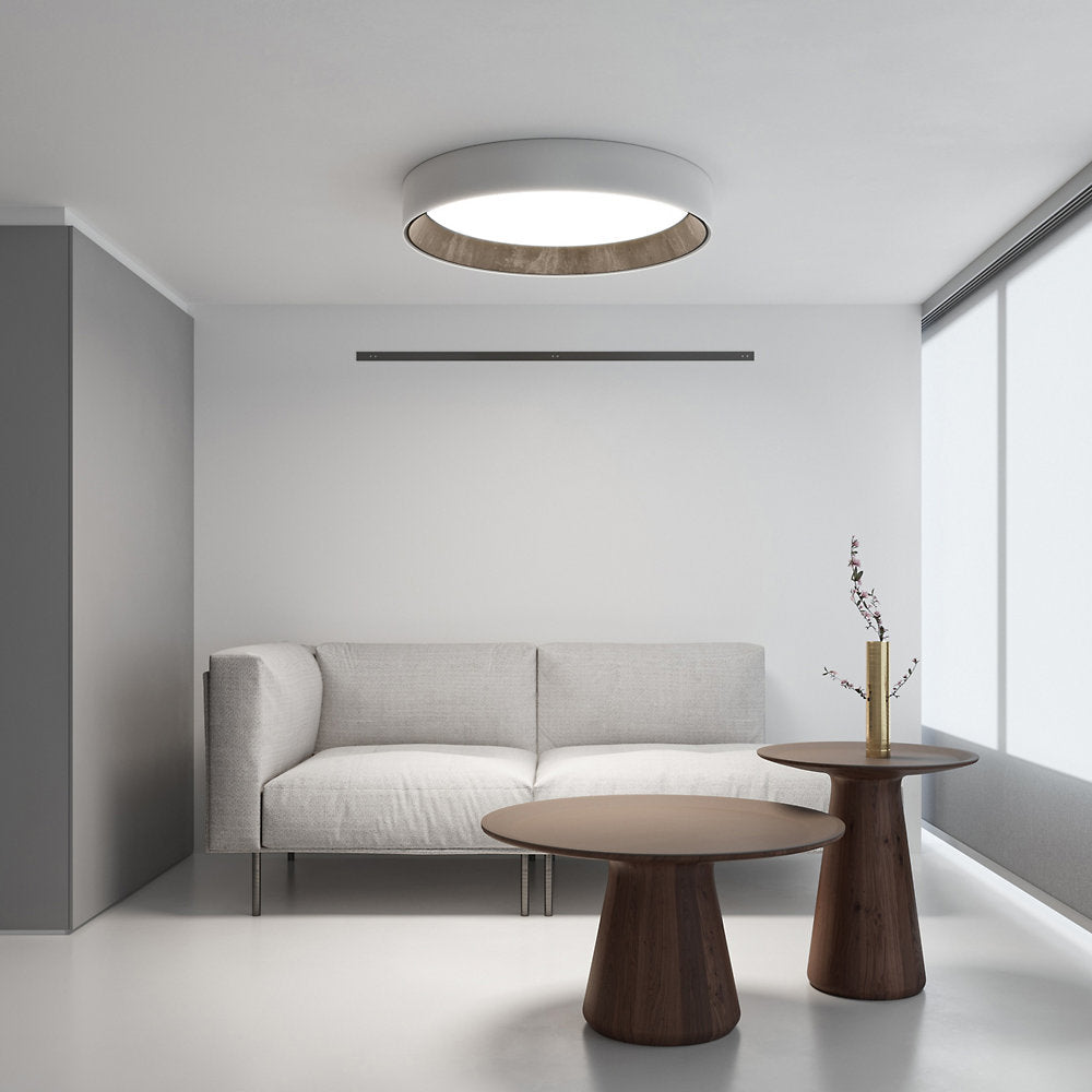 Duo Petra Surface Flushmount