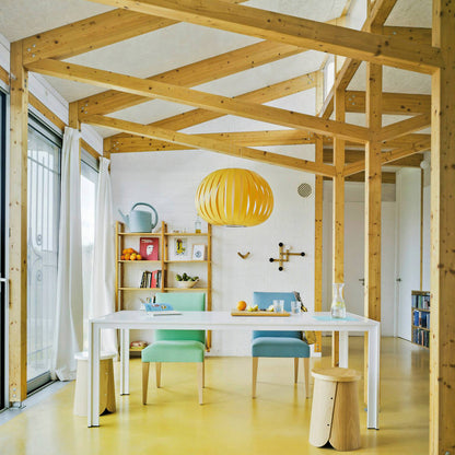 Poppy Pendant Light