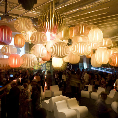 Poppy Pendant Light