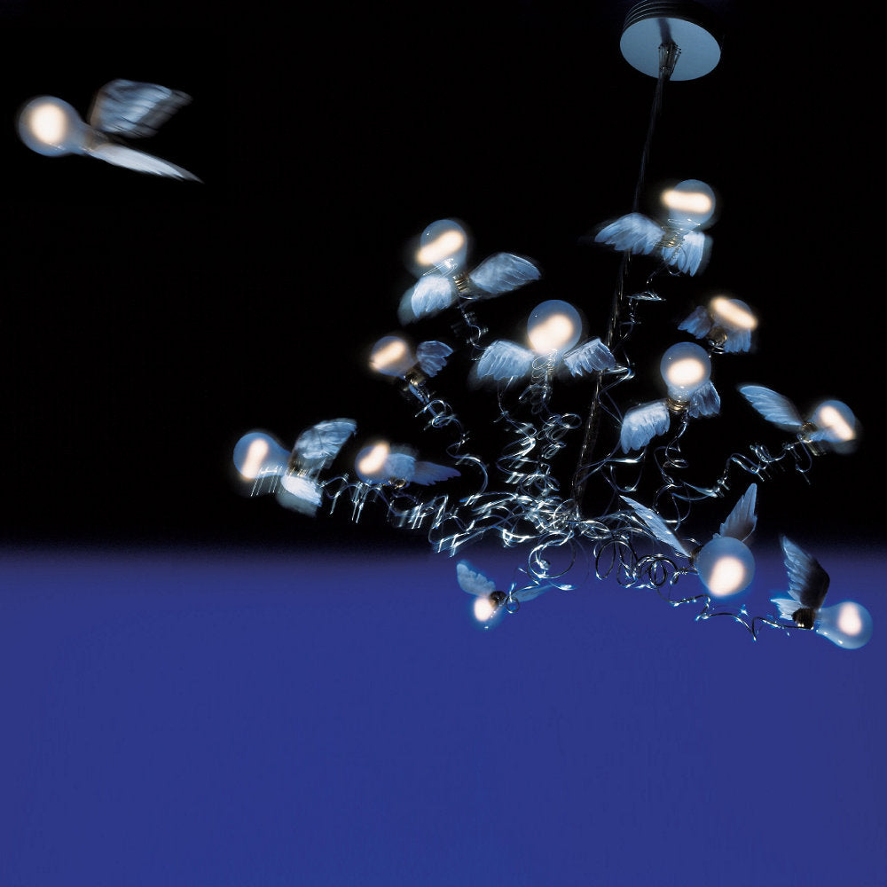 Birdie Chandelier