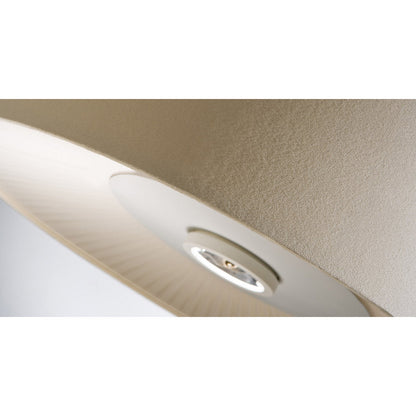 Velvet Flushmount